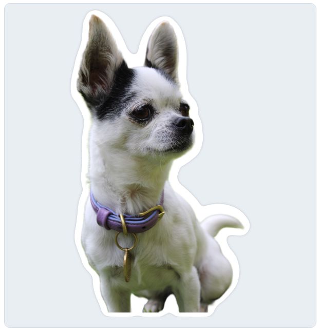 Personalizadas Impermeables